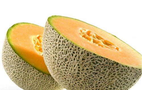 牧羊人吃哈密瓜视频大全,视频大全带你领略瓜香四溢的田园风情