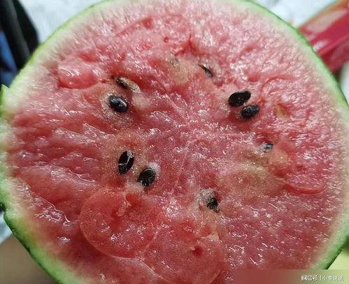 吃瓜吃出细菌视频大全播放,细菌视频大全播放警示录