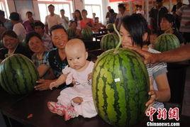 河北保定吃瓜新闻视频,一场意外的网络狂欢